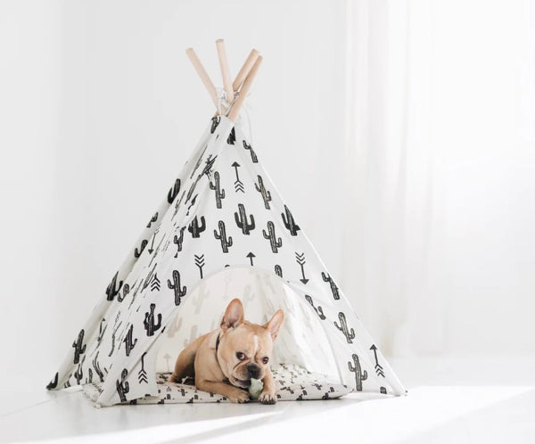 Pet Teepee